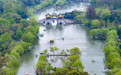 江苏扬州:瘦西湖春景如画