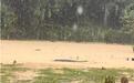 广东中山暴雨4条鳄鱼出逃，当地回应：已全部抓回，赶回池内