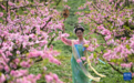 孟晖:“种花家”的赏花风流,连日本都未能尽得精髓