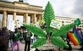 德国历史性时刻!喜迎大麻合法