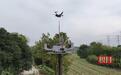 自主设计!支架式“无人机机场”成功首飞