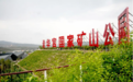 高质量发展看山西国企:晋能控股煤业集团种植一抹青绿 擦亮生态底色