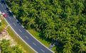 爬树、荡秋千也有全国大赛?这个运动会真好玩