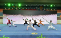 弘扬中华武术 促进两岸交流 第七届海峡两岸中华武术交流大会在南京举行