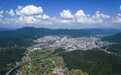 广东阳山:守好一方碧绿,夯实“绿色家底”