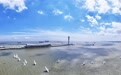 城事|风起帆扬,2024上海邮轮港国际帆船赛开赛