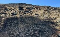 昆明大牯牛山“游客野外生火”处罚过轻?律师:毁损不足入罪