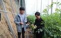 山东广饶:这里的“新农人”很酷