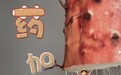 好品中国丨山河共育的“食中之药”