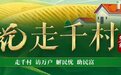 翠花走千村|小葡萄串起乡村振兴致富路