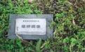 文物碉堡上长草、喷广告,检察建议“撬动”相关部门迅速修复