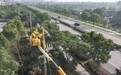浙江嘉兴:电力线路迁改服务跨海大桥建设