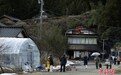 日本地震已致至少78人死亡 救援行动受到阻碍