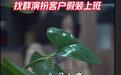 85名员工全是职业骗薪人,骗子该严惩,用人漏洞也该堵上