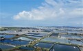 赋能北海虾滑产业共赢 锅圈“单厂单品”模式背后的全链路生态“大图景”