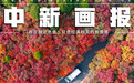【图刊】秋日限定色盘:红色拉满深秋的氛围感