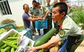 放弃铁饭碗,这位退役军人借100万创业,带战友致富