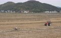 高质量发展调研行|浙江岱山:科技强农 盐碱地变现代农业园