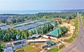 海南环岛旅游公路为沿线农产品打开新市场——“以前出门找销路,现在销路找上门”(记录中国·身边的工程)