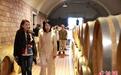 “香港促进现代化专业人士协会”考察团来宁考察