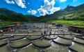 福建周宁八蒲海峡两岸文化创意园开园 助力乡村振兴