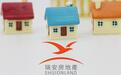 瑞安房地产:上半年归母净利润约0.72亿元,下半年将推出翠湖天地六期
