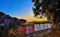 “走读武汉”首站走进柏泉茶园,感受春天第一抹新绿