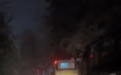 峨眉山多位游客称因降雪被困数小时,景区:人工除雪致堵车