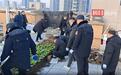 业主占用楼顶公共平台种菜,武汉这5处“空中菜园”被清理