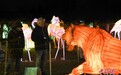 中国彩灯展点亮加拿大滨湖尼亚加拉镇冬日夜色