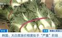 一棵白菜卖60元,白菜价格飙升!韩国再现“泡菜危机”?