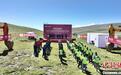 西藏那曲色尼区吉措100兆瓦风电项目开工建设