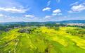 航拍广西梧州乡村风光 秋日田园“丰”景如画