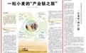 一粒小麦的“产业链之旅”(“三夏”一线探新迹)