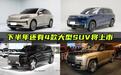下半年想买大型SUV的别急!还有这4款新车要来,谁会热销?