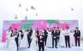 打造“爱情圣地”新名片!花鸟岛官宣结婚登记福利政策