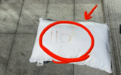 发现血书枕报警救出女房东!外卖小哥被奖2000元:系大学生暑期兼职,自称举手之劳