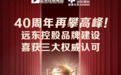 40周年再攀高峰!远东控股品牌建设喜获三大权威认可