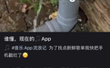 当网易云的歌名变灰,我成了音乐难民