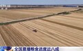 全国夏粮收获过九成 夏播粮食进度近八成