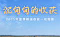 沉甸甸的收获——2025年夏季粮油收获一线观察