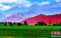 新疆温宿:夏日塔村风景如画引游客