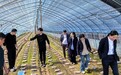乡村振兴,金信在行动|金信期货携手桐柏县安棚镇续写党建公益新篇章