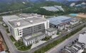 活力中国调研行|沿着东江走出深山,老区农业如何撬开湾区市场?