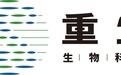 抓住健康主动权!重生瑞胞恩为肠道微生态撑起“保护伞”