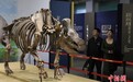 游客在国家自然博物馆观赏泥河湾百万年人类印记