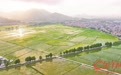 “百千万工程”三年初见成效 中山亮出实践答卷