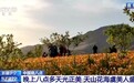 戈壁荒山→天山花海 卫星视角“瞰”生态巨变