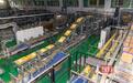 1小时下线48000瓶饮料,武汉顶津迎战消费旺季