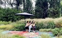 绿色阅兵观礼椅“上岗”6家北京市属公园,周末来打卡!